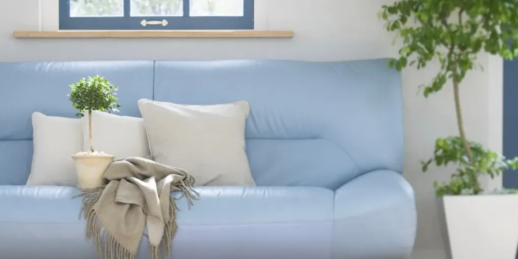 Canapé clair garni de coussins sous une fenêtre, avec un plaid et une plante d'intérieur