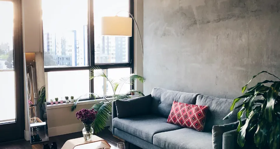 Coin salon d'un studio : canapé gris devant une grande fenêtre, plantes et petite table basse